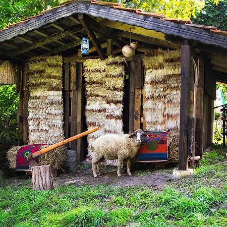 Milkovata