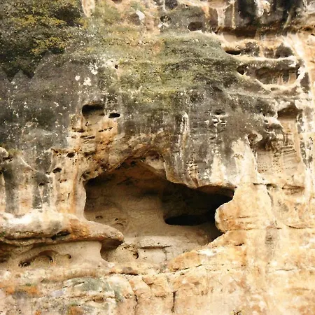 Milkovata