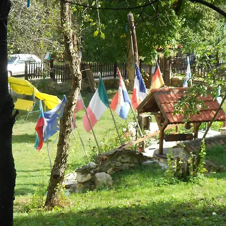 Milkovata Koshov
